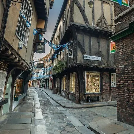 Vikings With Private Parking & Terrace