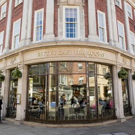 Vikings With Private Parking & Terrace York